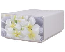 Boxy Orchidee Stein 