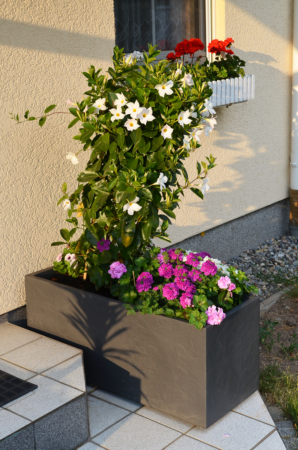 Ondis24 Pflanzkübel Vulkan 100 günstig Blumentopf online Doppelwand kaufen Wasserspeicher